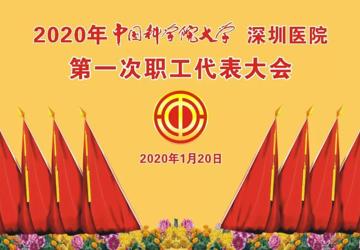 不负韶华求发展，日夜兼程创三甲