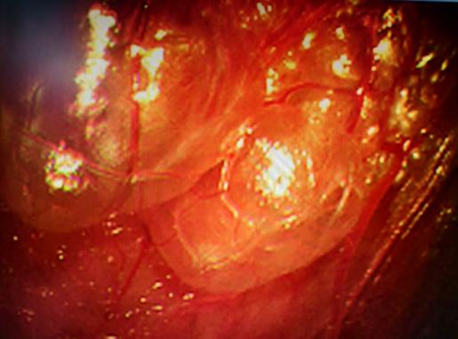 caeeef872bd0759c58c32ab2d44e0b9