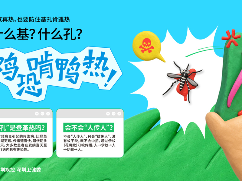 基孔肯雅热防控
